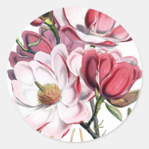 Rosa Magnolienblüten Runder Aufkleber
