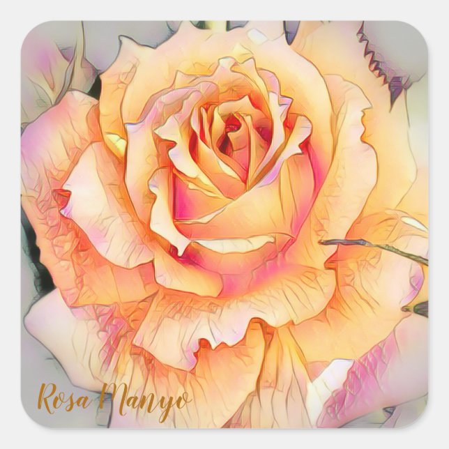 Rosa ‘Manyo’ [Square Seal] Quadratischer Aufkleber (Vorderseite)