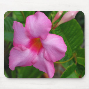 Rosa Mausunterlage Mandevilla-"Alices Du Pont" Mousepad