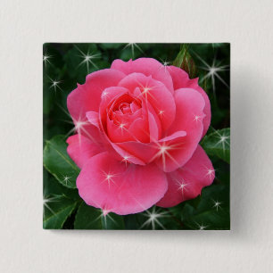 Rosa mit Sternen Button
