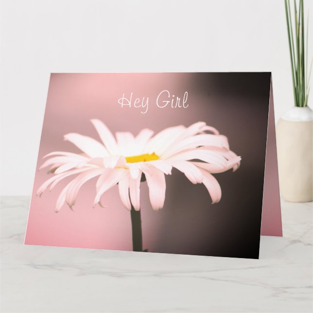Rosa mit weißer Daisy Karte (Vorderseite)