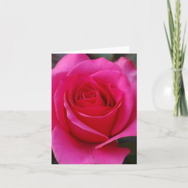 Rosa Mitteilungskarten (Vorderseite)