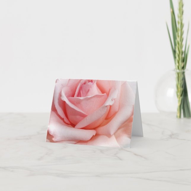 Rosa Mitteilungskarten (Vorderseite)