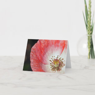 Rosa Mohnblumen-Geburtstag Karte