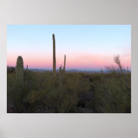 Rosa Mond über Saguaro bei Sonnenaufgang