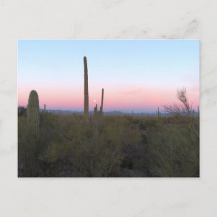 Rosa Mond über Saguaro bei Sonnenaufgang Postkarte