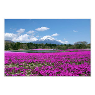 Rosa Moos und der Fujisan im Hintergrund Fotodruck