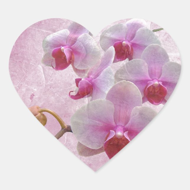 Rosa Moth Orchids - Phalaenopsis Herz-Aufkleber (Vorderseite)
