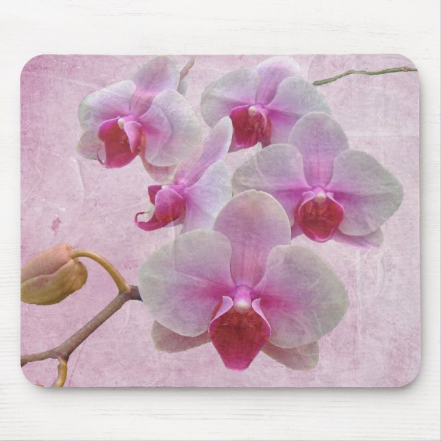 Rosa Moth Orchids - Phalaenopsis Mousepad (Vorne)