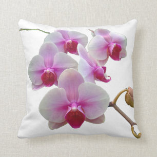 Rosa Motten-Orchideen auf Weiß - Phalaenopsis Kissen