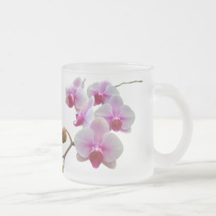 Rosa Motten-Orchideen - Phalaenopsis Mattglastasse
