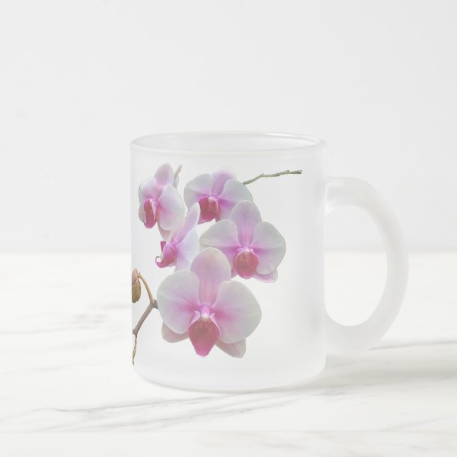 Rosa Motten-Orchideen - Phalaenopsis Mattglastasse (Rechts)