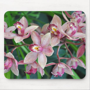 Rosa Mottenorchideen Mousepad