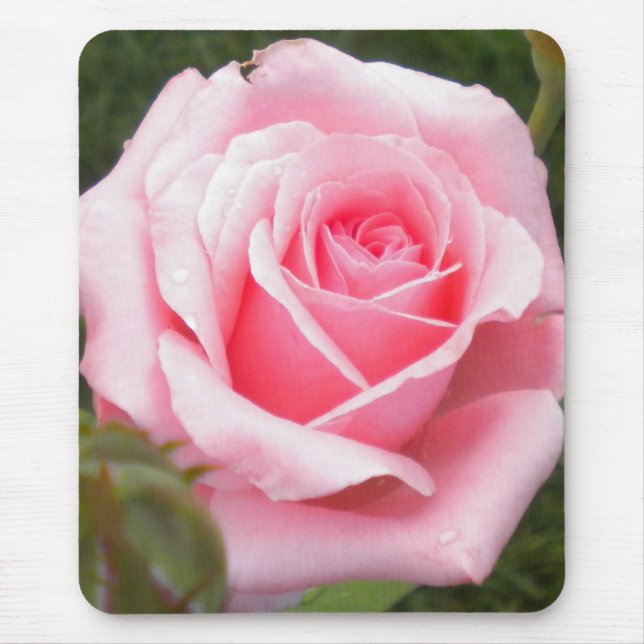Rosa Mouse-Pad Mousepad (Vorne)