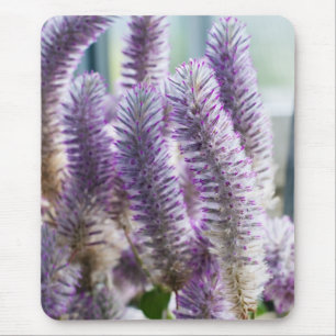 Rosa Mulla Mulla-Mausepad Mousepad
