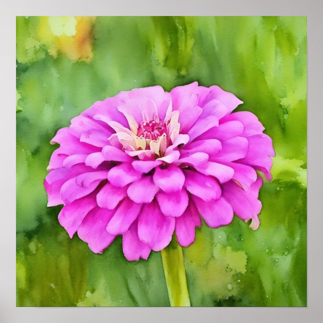 Rosa Mum Blume Wasserfarben Art Squash Poster (Vorne)