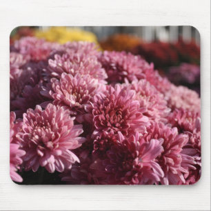Rosa Mums Foto schön Mousepad