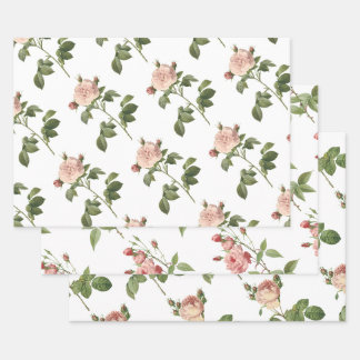 Rosa Muster Geschenkpapier Set