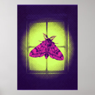 Rosa Nachtfalter am leuchtenden Limettengrün-Fenst Poster