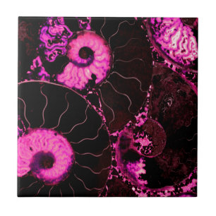 Rosa Nautilus-Fossilien-Muschel Fliese