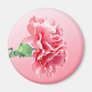 Rosa Nelke Magnet