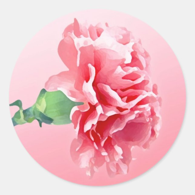 Rosa Nelke Runder Aufkleber (Vorderseite)
