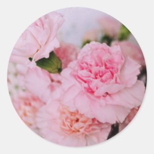 rosa Nelken Blumen im Vintage-Stil Fotografie Runder Aufkleber