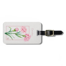 Rosa Nelken Botanische Aquarell-Eigenname