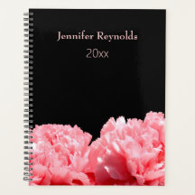 Rosa Nelken Persönlich