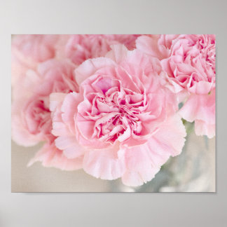 Rosa Nelken Poster