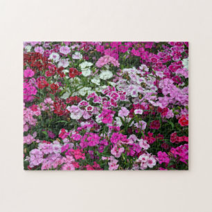 Rosa Nelken Puzzle