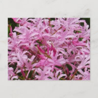 Rosa Nervenzellen Blume Postkarte