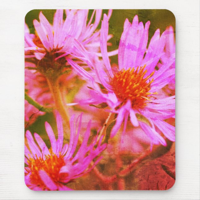 Rosa New England Asters Blumen Art Mousepad (Vorne)