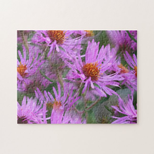 Rosa New England Asters Blumen Art Puzzle (Horizontal)