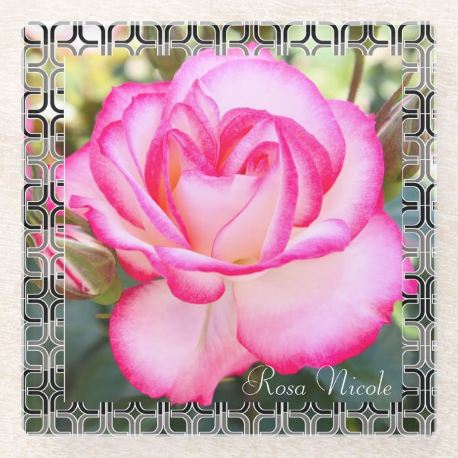 Rosa Nicole [Glass Coaster] Glasuntersetzer (Vorderseite)