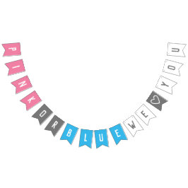 Rosa oder Blau decken wir Liebe Sie Geschlecht Wimpelkette