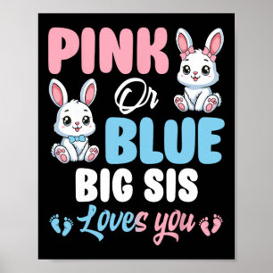 Rosa oder blaue Big Sis Lieben Sie sonniges Geschl Poster