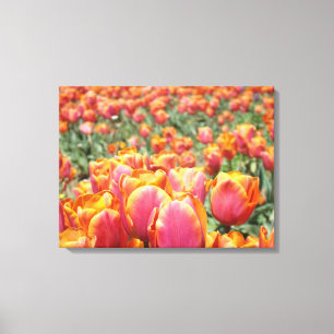 Rosa Orange Tulips Blumenkunst druckt Tulip Blume Leinwanddruck