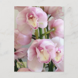 Rosa Orchiale Vertikale Postkarte