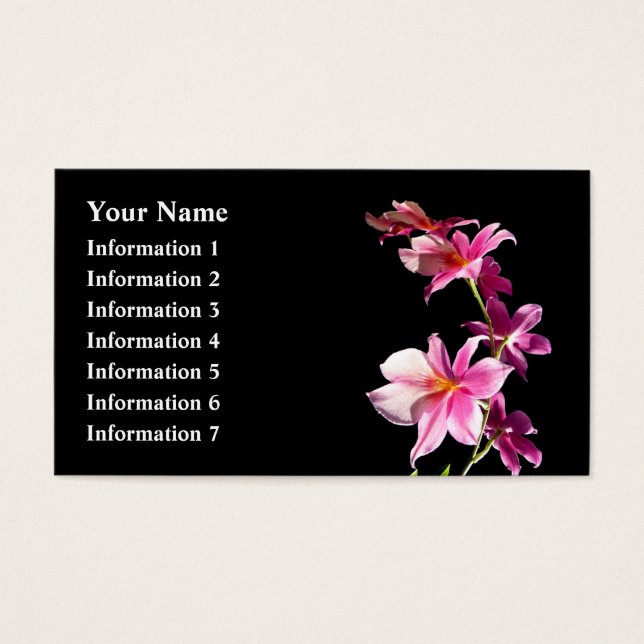 Rosa Orchid. (Vorderseite)