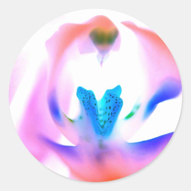 Rosa Orchid Classic Round Stickers (Vorderseite)