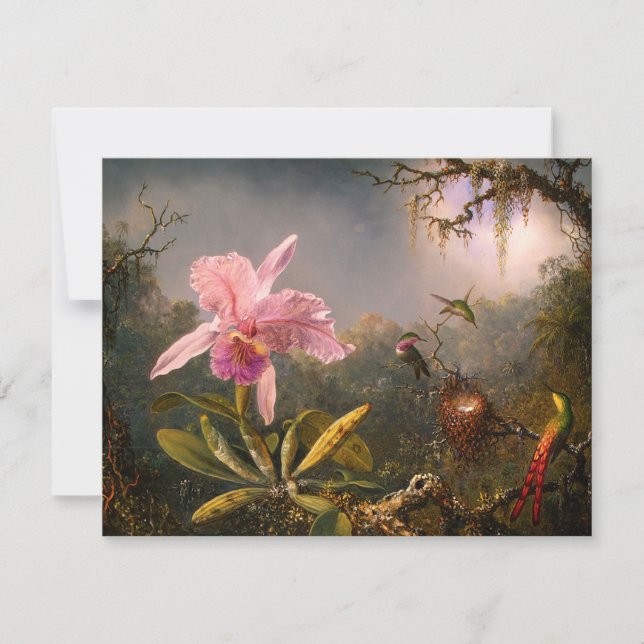 Rosa Orchid und Drei Humingvögel Einladungen (Vorderseite)