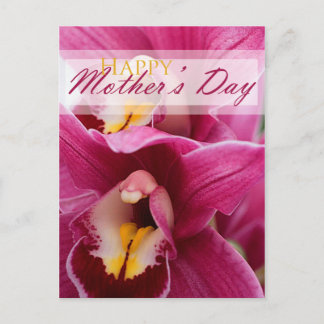 Rosa Orchid zum Muttertag Postkarte