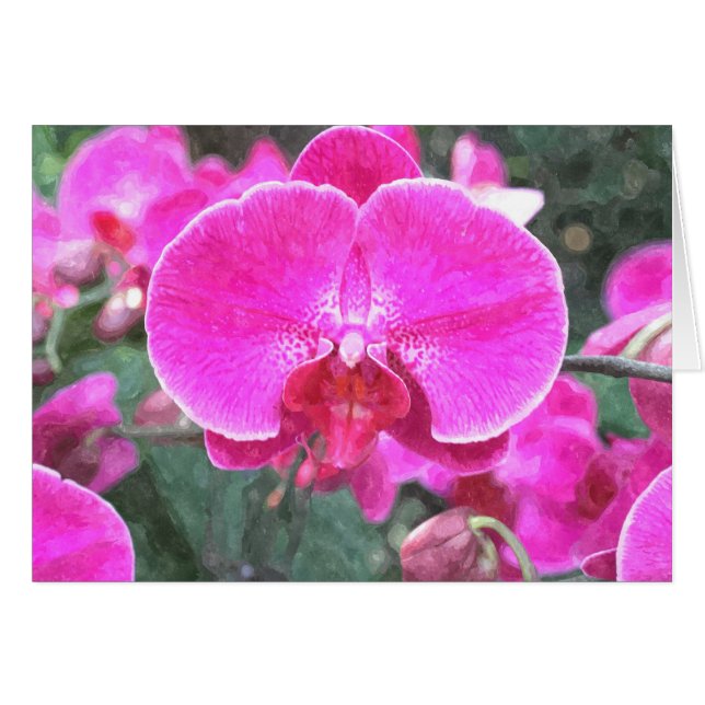 Rosa orchide Blume, Blumenfotografie (Vorderseite (Horizontal))