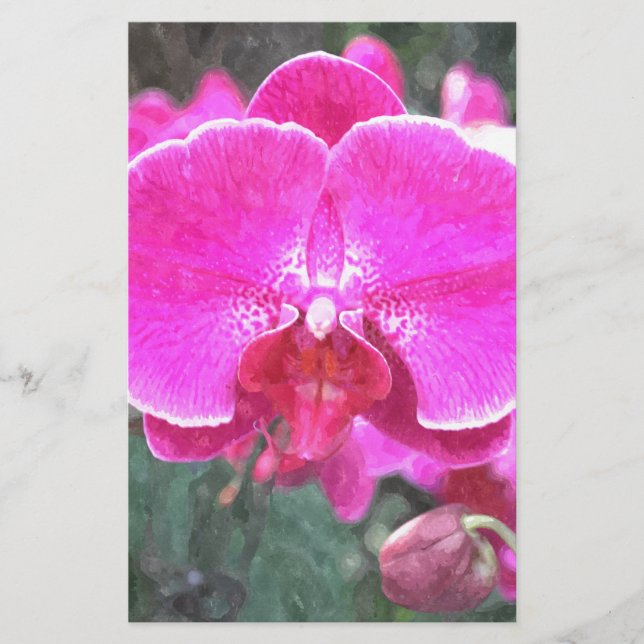 Rosa orchide Blume, Blumenfotografie Briefpapier (Vorderseite)