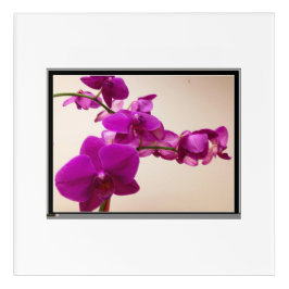 Rosa Orchidee Acryl Wandkunst