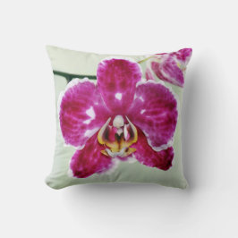 Rosa Orchidee Kissen