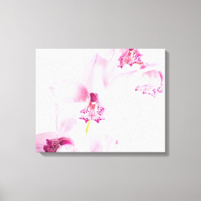 Rosa Orchidee Leinwanddruck (Vorderseite)