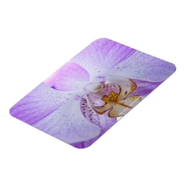 Rosa Orchidee Magnet (Linke Seite)