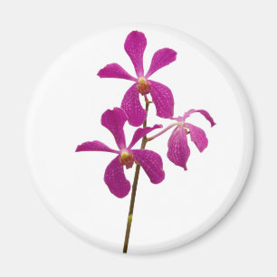 Rosa Orchidee Magnet